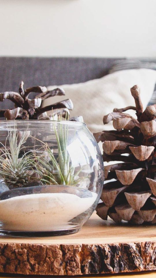 Pinecone and table decor